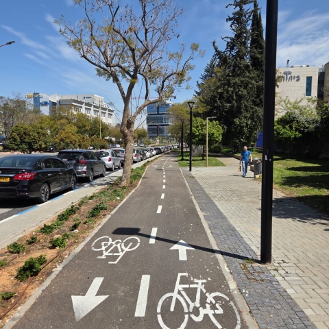 בשורה משמחת ביום האופניים העולמי: שביל אופניים חדש נחנך ברחוב המדע ברחובות