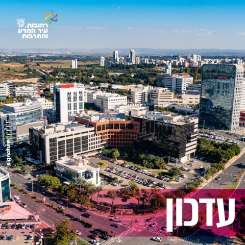 בשל סכנה לקריסת עצים: חורשת הצופים תיסגר זמנית החל מהיום, לצורך טיפול בעצים ושיקום נופי מקיף