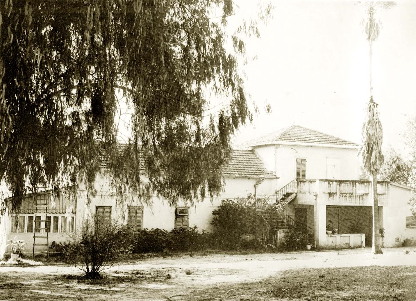בית דונדיקוב