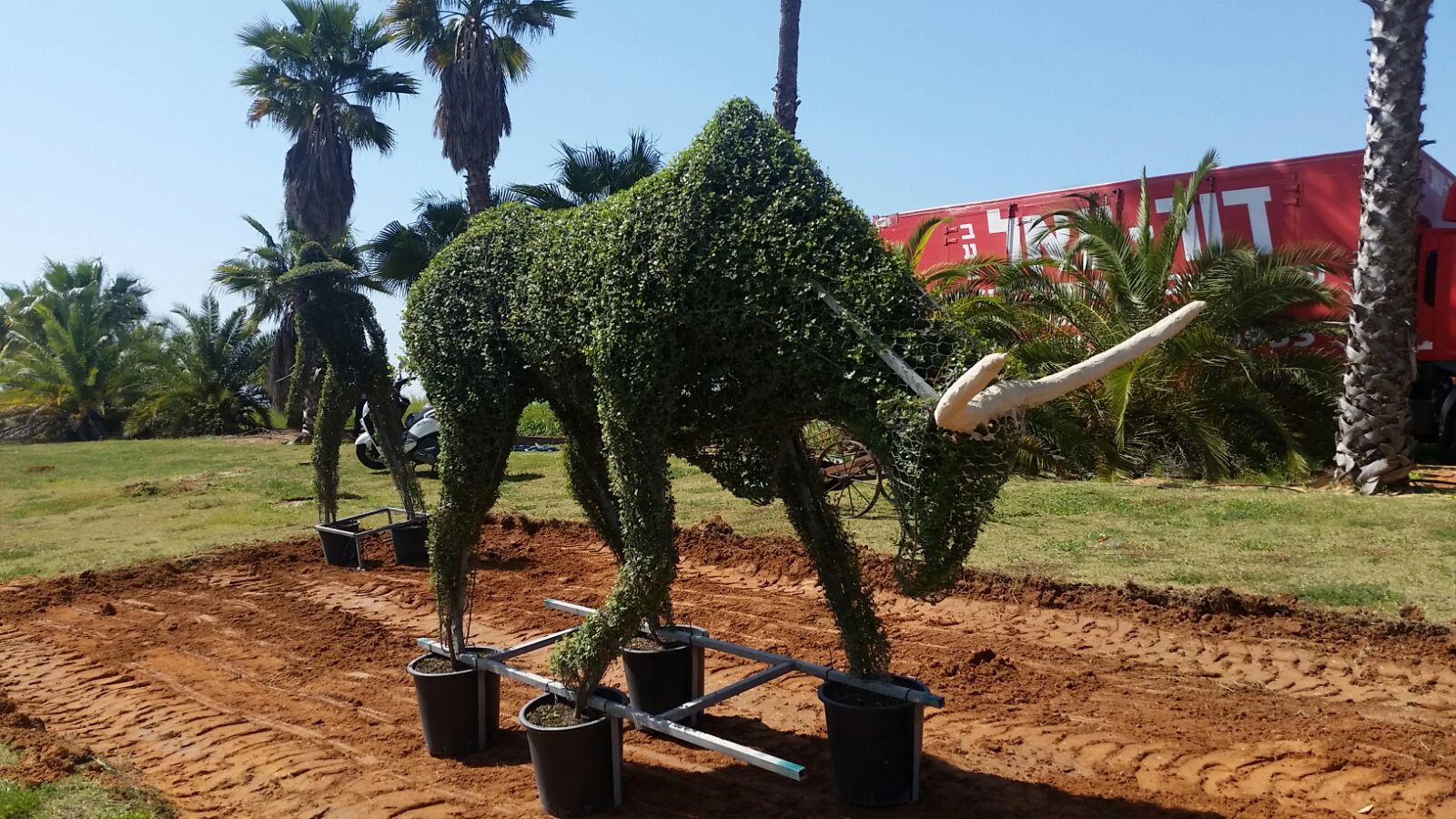 גינון סביבתי ברחובות