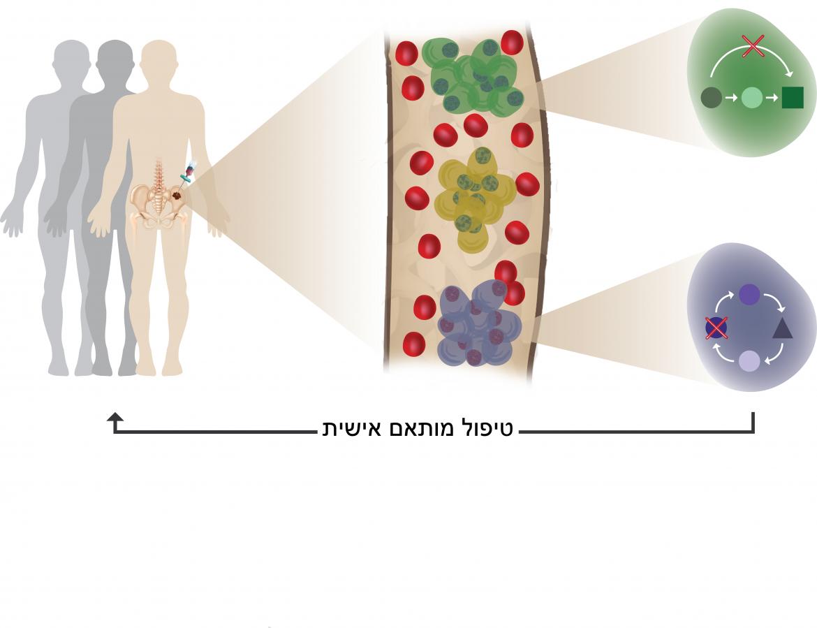 טיפול מותאם אישית