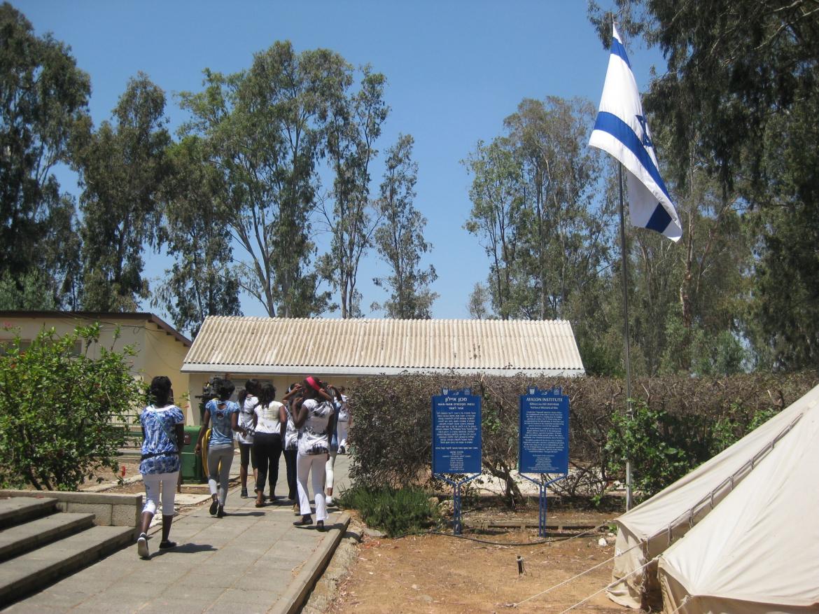 מכון איילון